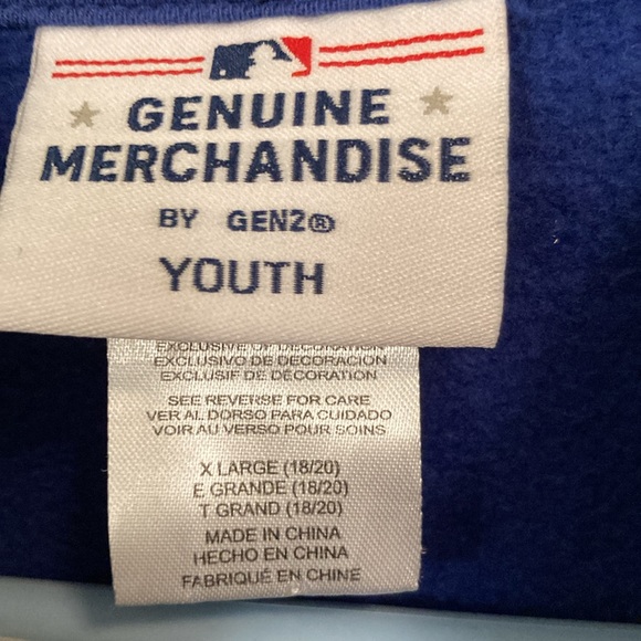 Toronto Blue Jays Youth Homegrown Wordmark - Full-Zip Hoodie - Royal - Picture 3 of 5